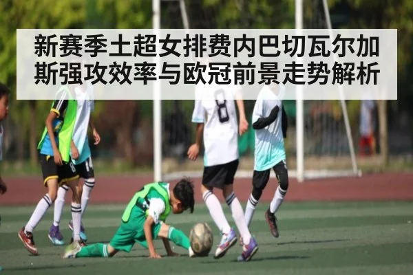 新赛季土超女排费内巴切瓦尔加斯强攻效率与欧冠前景走势解析